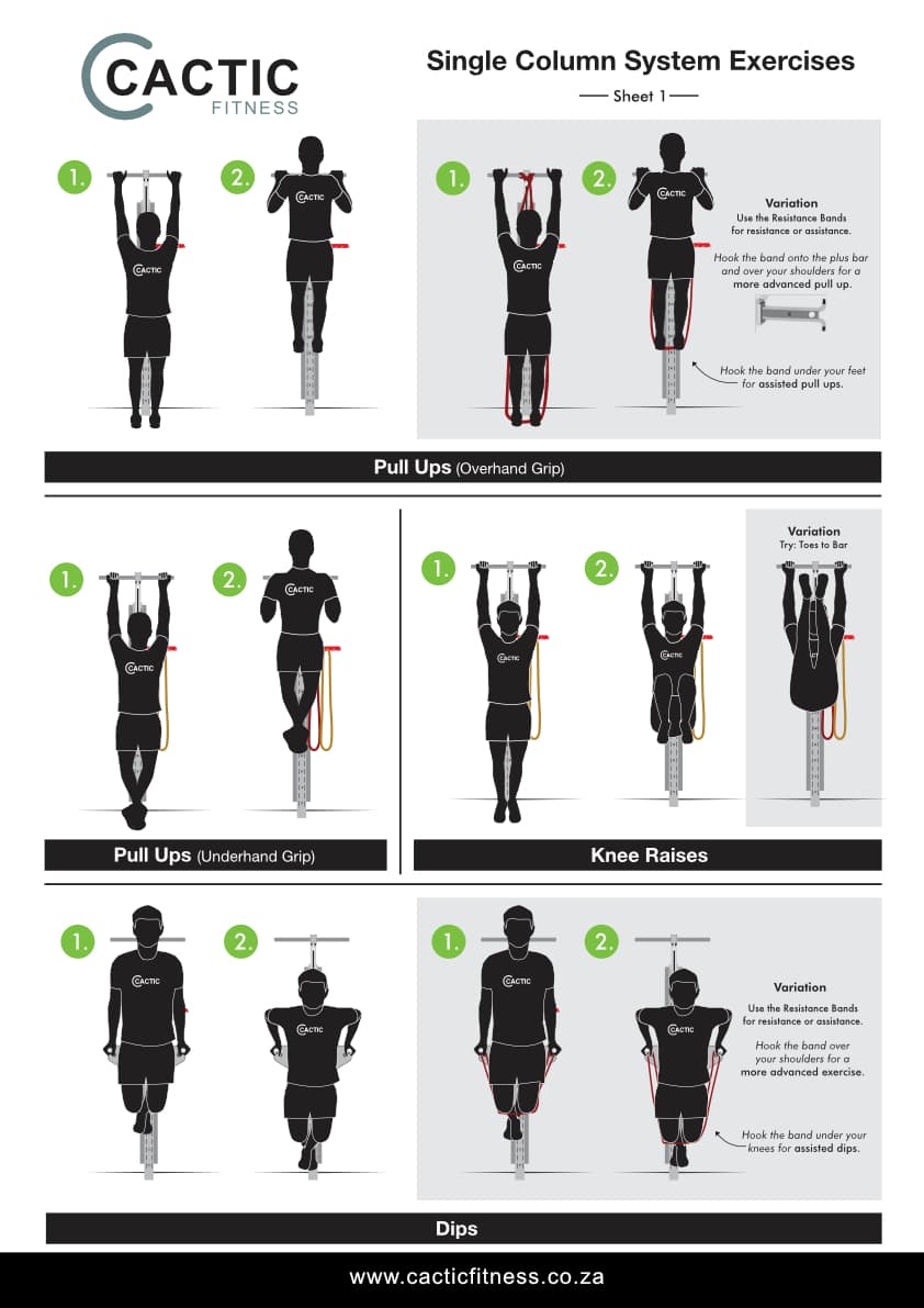 Cactic Fitness Single Column System Exercises 1