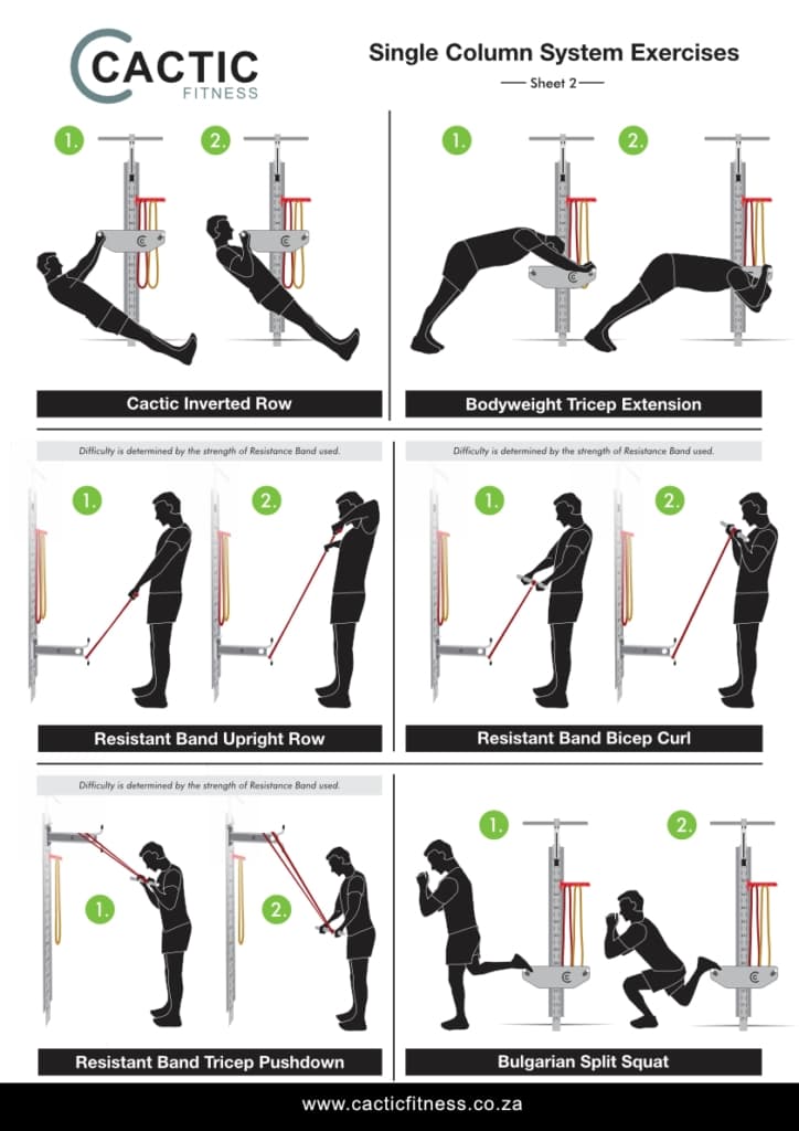 Cactic Fitness Single Column System Exercises 2