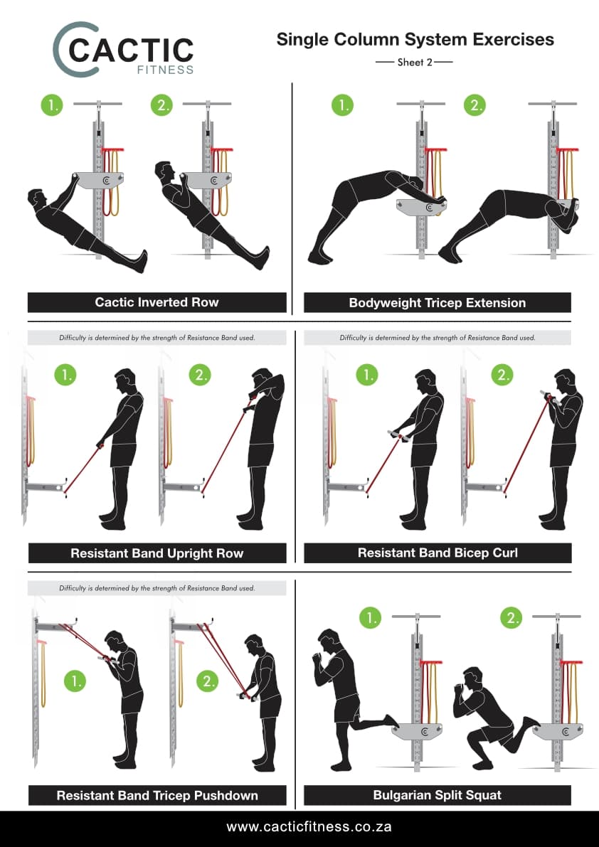 Cactic Fitness Single Column System Exercises 2