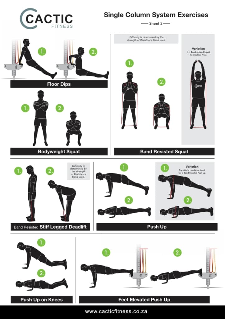 Cactic Fitness Single Column System Exercises 3