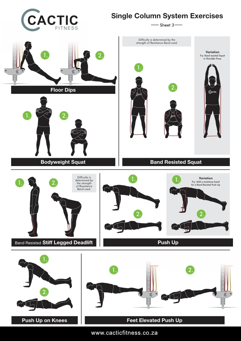 Cactic Fitness Single Column System Exercises 3