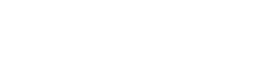 Freestyler Logo White