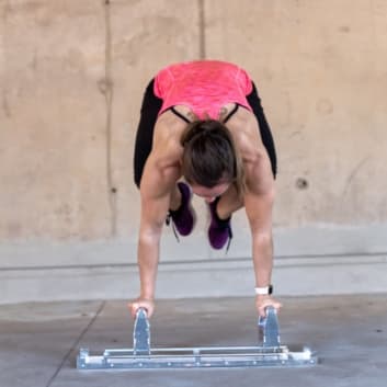 FreeStyler