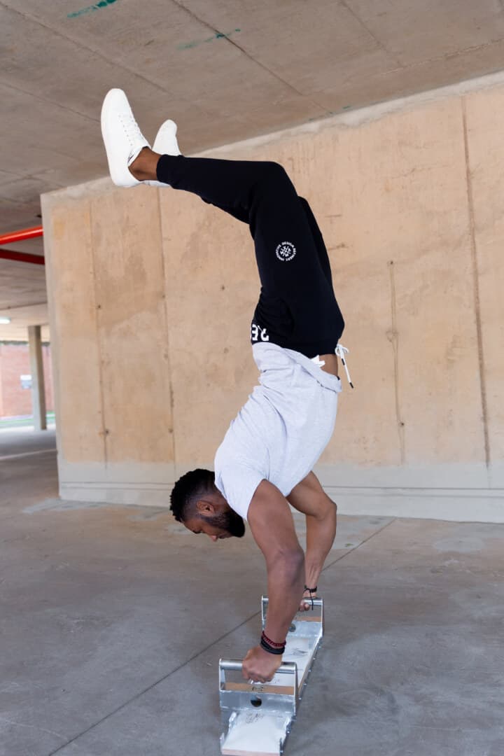 FreeStyler