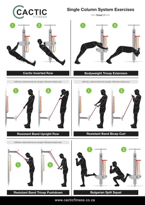 Cactic Fitness Single Column System Exercises 2