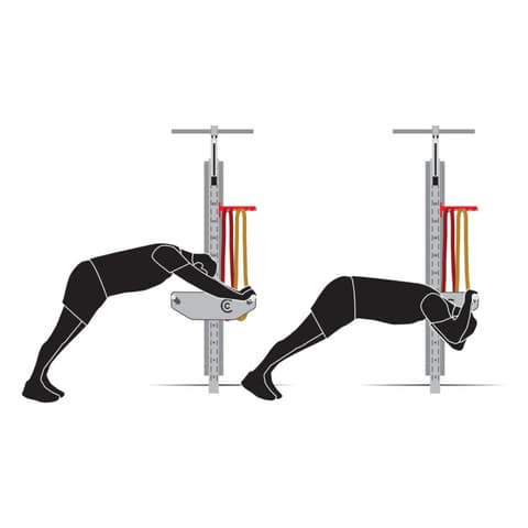 Bodyweight Tricep Extension