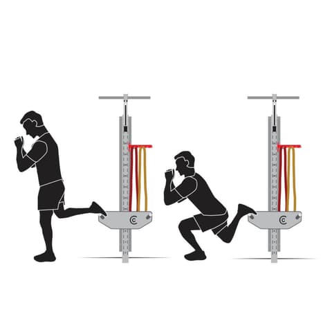 Bulgarian Split Squat