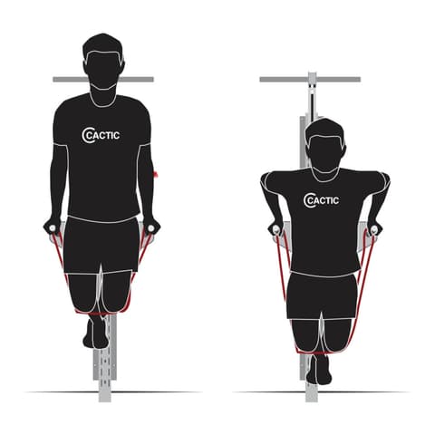 Dips Resistance Band Assisted