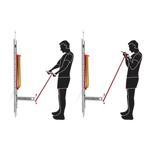 Resistant Band Bicep Curl