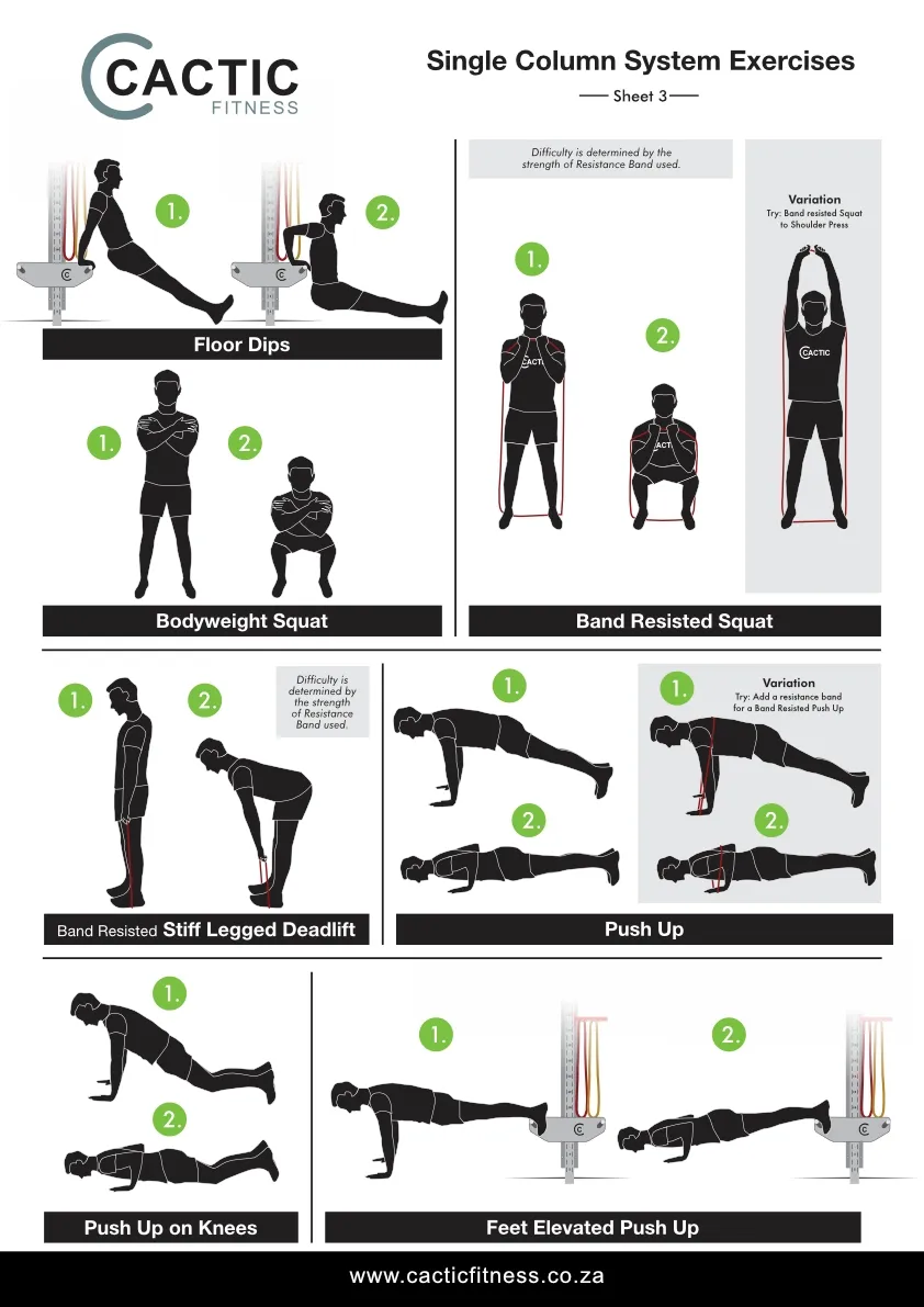 Dip Stand, Leg Raise, Tricep Combination - Hand Stand, Pull Ups